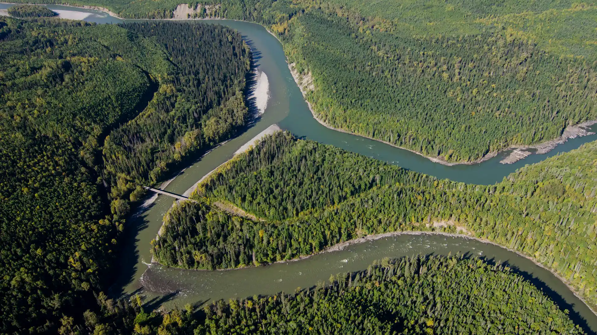 Have Your Say: BC’s Biodiversity and Ecosystem Health Framework